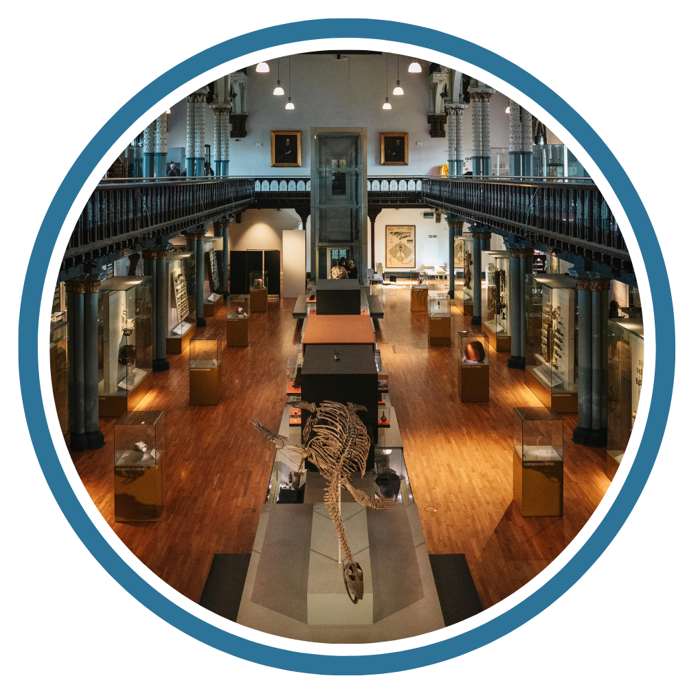 Museum
