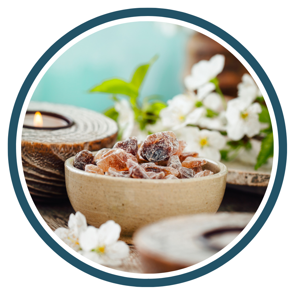 Health and Wellness Segments