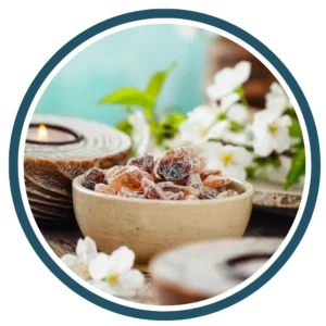Health-Wellness-Segments