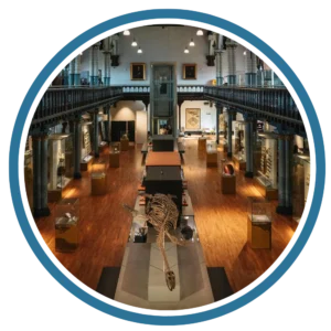 Museum