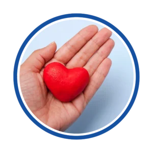 Nonprofit Donor Acquisition
