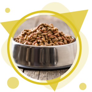 Pet-Food-Products