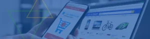 Website-ID-Header